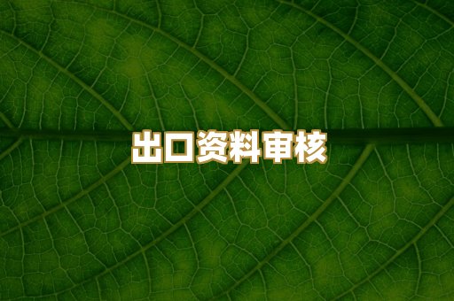 出口资料审核